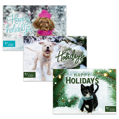 Holiday Card Pack